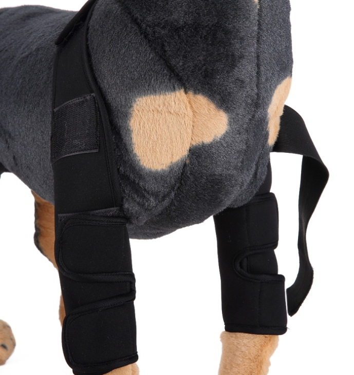 Canine Recovery Knee Brace
