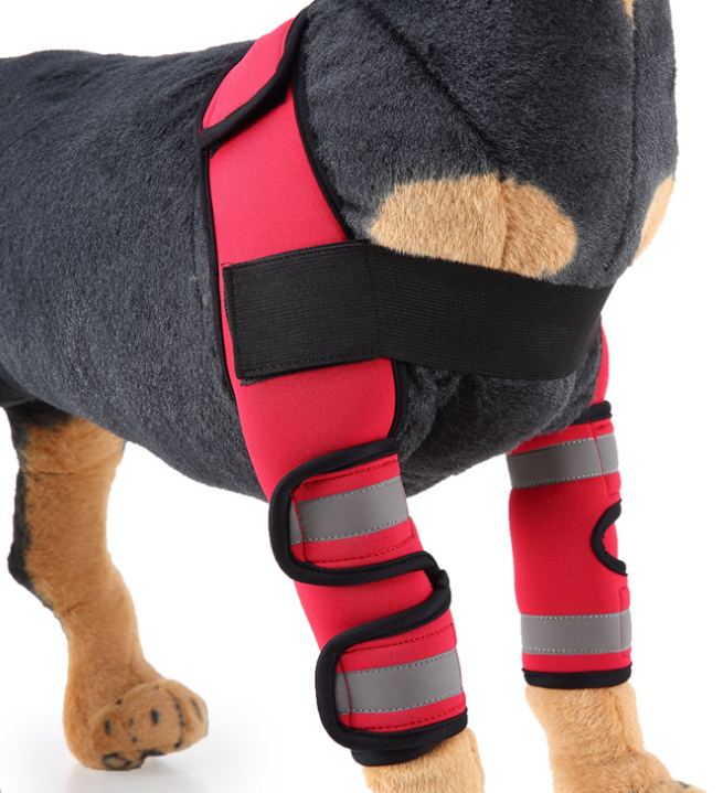 Canine Recovery Knee Brace