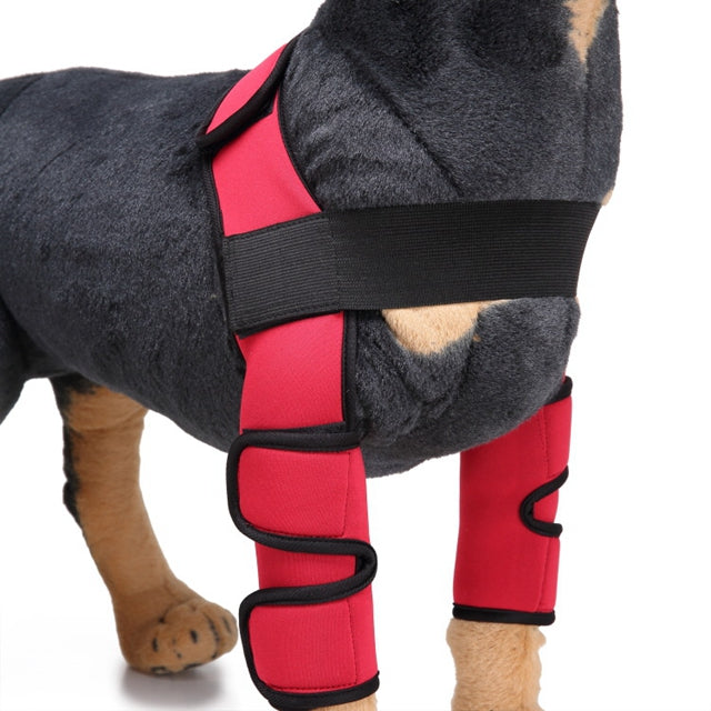 Canine Recovery Knee Brace