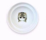 Elevated Cat Bowl Stand with Spine Protection Design