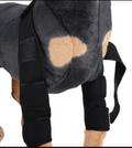 Canine Recovery Knee Brace