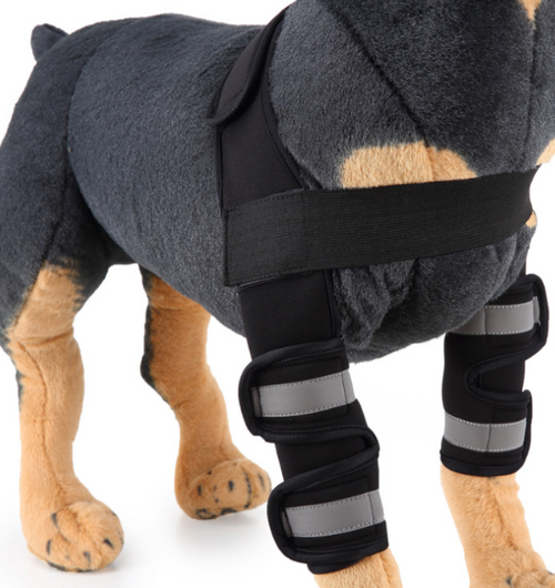 Canine Recovery Knee Brace